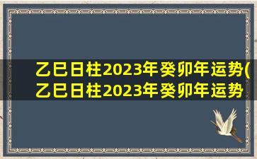 乙巳日柱2023年癸卯年运势(乙巳日柱2023年癸卯年运势 🐝 怎么样)